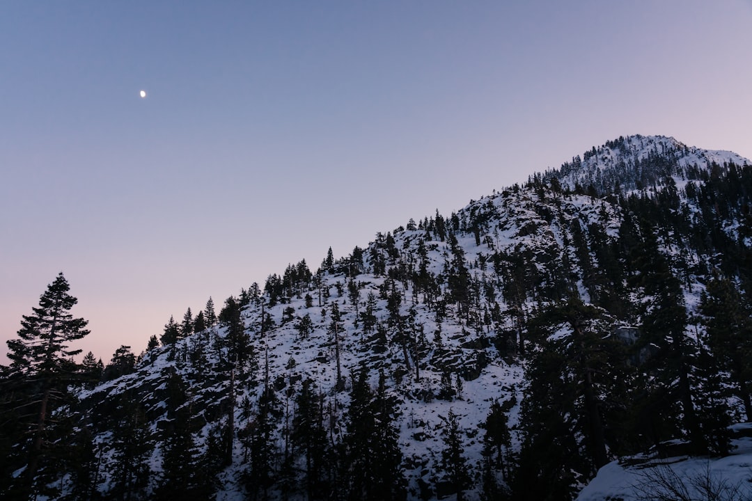 <a href="https://hugoguho.neighborhood.online/news">News & Announcements</a> 88664731-c5c7-4c25-9960-6fb85e3c581e.jpg